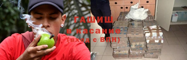 гидра Гусиноозёрск