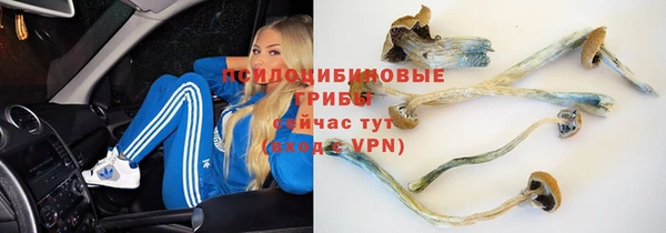 a pvp Медвежьегорск
