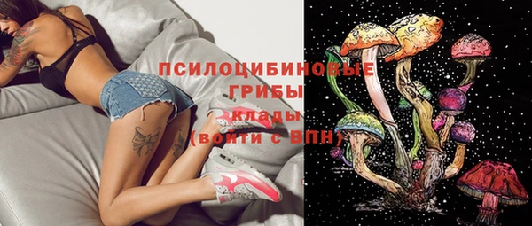 a pvp Медвежьегорск