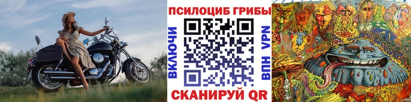 хочу наркоту  Чишмы  Псилоцибиновые грибы GOLDEN TEACHER 